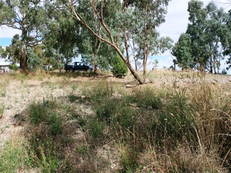 Lot  15 Main North Road, Sevenhill SA 5453