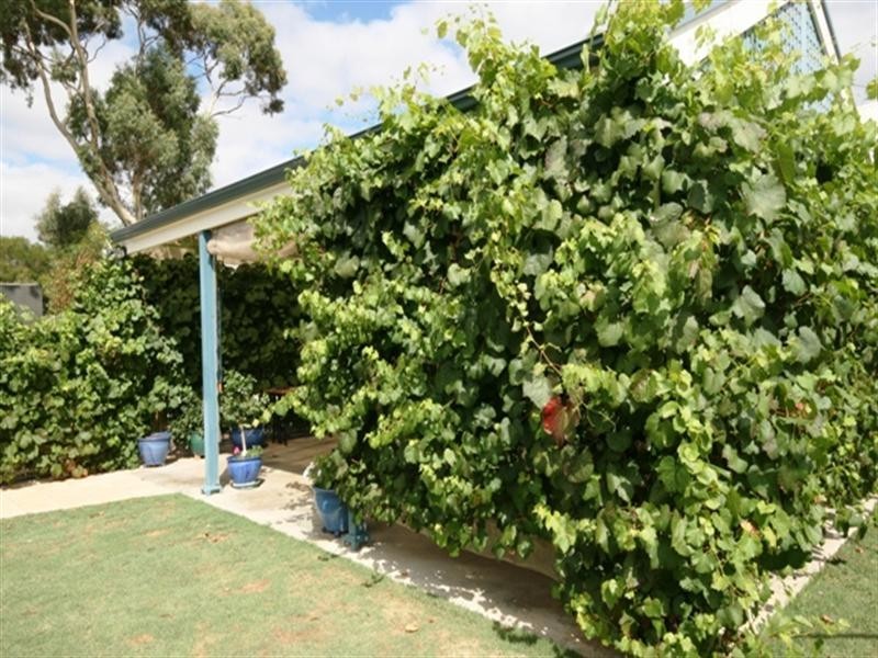 11 Jarman Crescent, Clare SA 5453