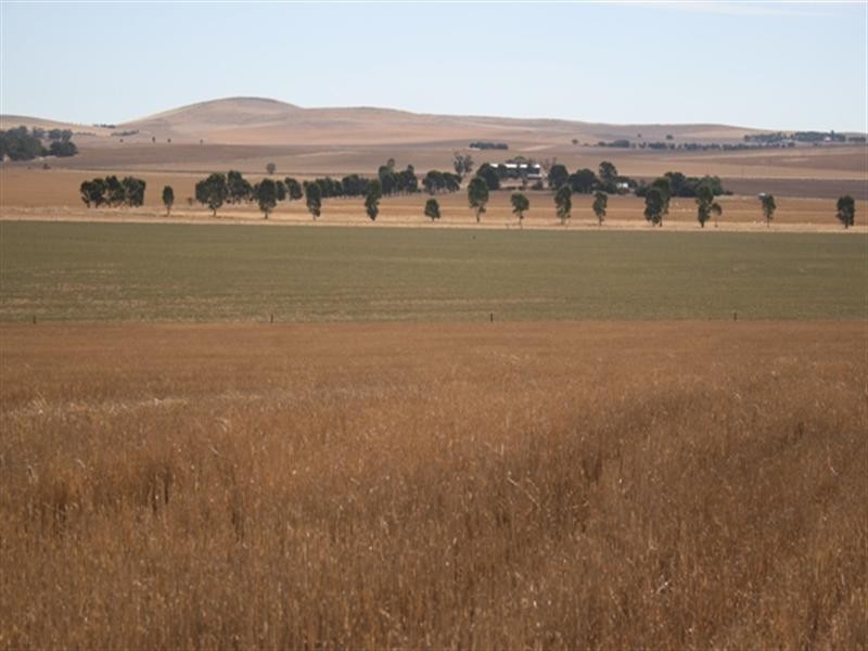 Leighton Downs Hogan Road, Leighton SA 5417