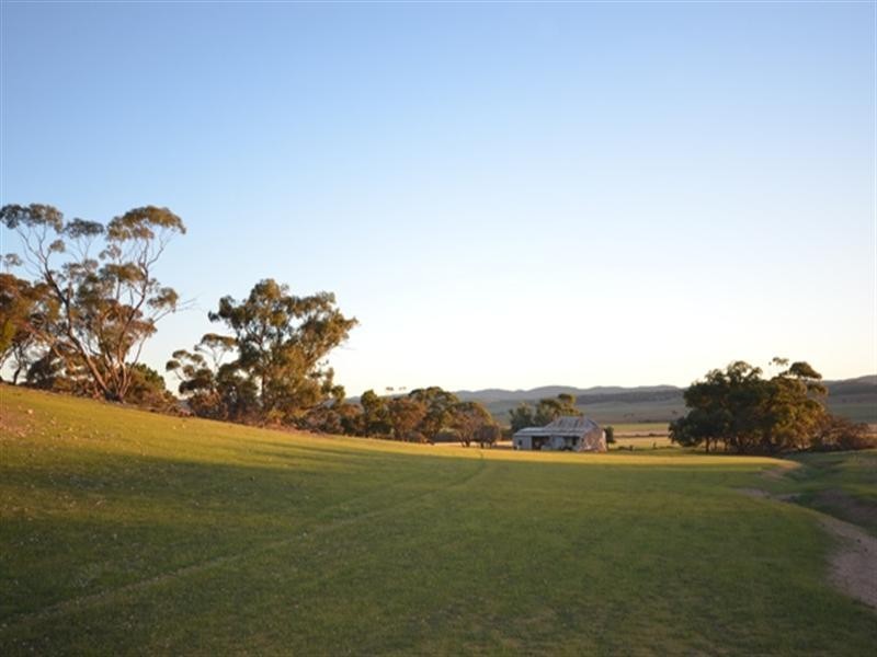 “Pine Hill” Koo-owie Gap Road, Robertstown SA 5381