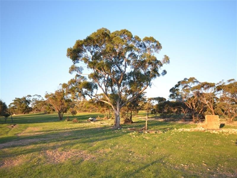 “Pine Hill” Koo-owie Gap Road, Robertstown SA 5381