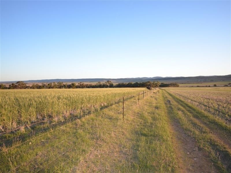 “Pine Hill” Koo-owie Gap Road, Robertstown SA 5381