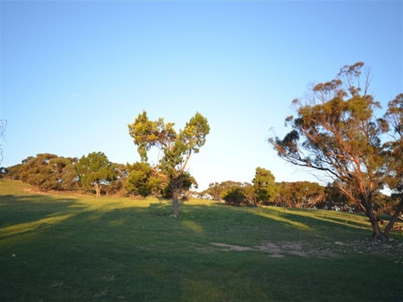 “Pine Hill” Koo-owie Gap Road, Robertstown SA 5381