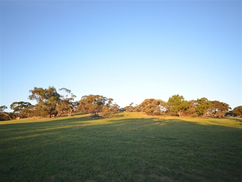 “Pine Hill” Koo-owie Gap Road, Robertstown SA 5381