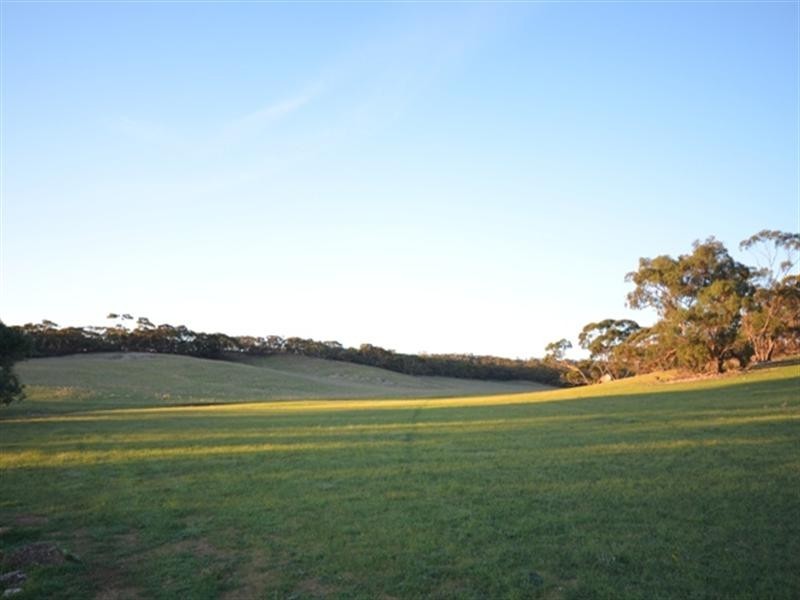 “Pine Hill” Koo-owie Gap Road, Robertstown SA 5381