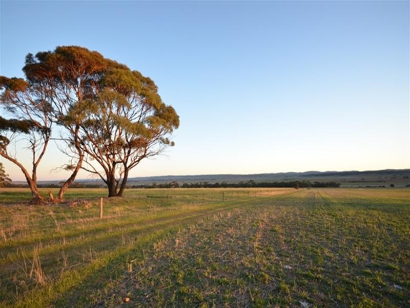 “Pine Hill” Koo-owie Gap Road, Robertstown SA 5381