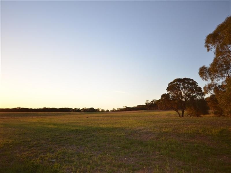 “Pine Hill” Koo-owie Gap Road, Robertstown SA 5381