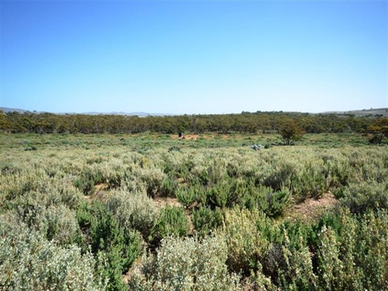 Burra SA 5417