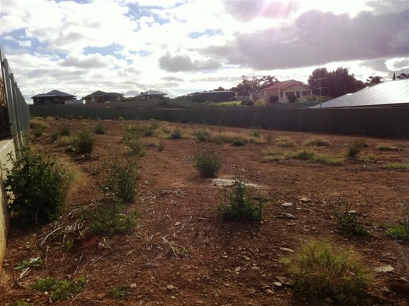Lot 10 King William Street, Auburn SA 5451