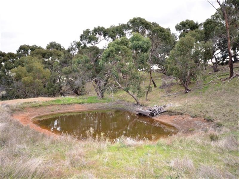 Lot 22 Spring Gully Road, Clare SA 5453
