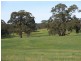 Lot 22 Spring Gully Road, Clare SA 5453