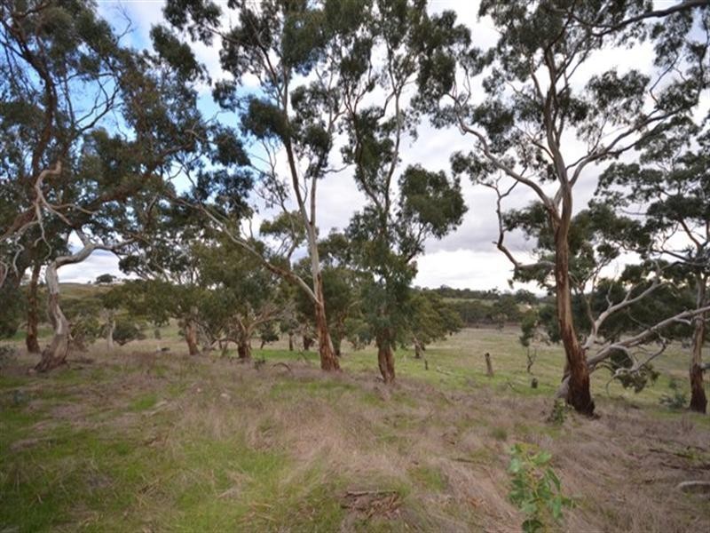 Lot 22 Spring Gully Road, Clare SA 5453