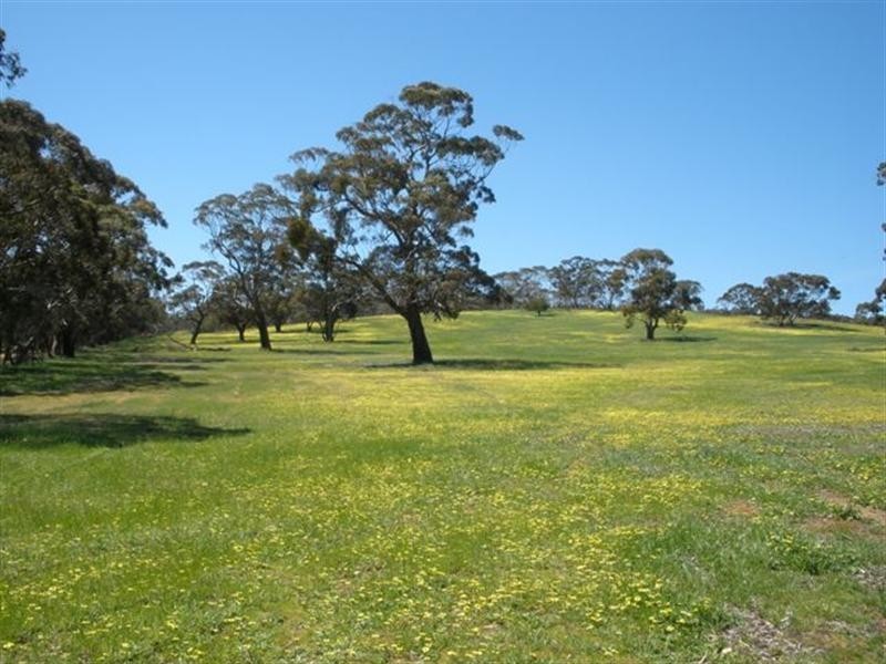 Lot 22 Spring Gully Road, Clare SA 5453