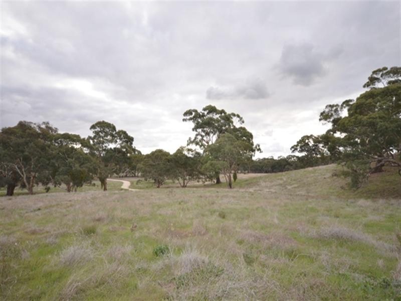 Lot 21 Spring Gully Road, Clare SA 5453