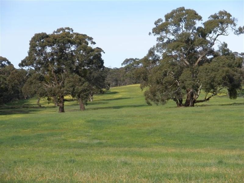 Lot 21 Spring Gully Road, Clare SA 5453