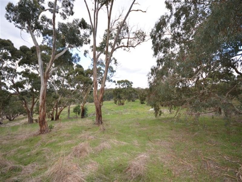 Lot 21 Spring Gully Road, Clare SA 5453