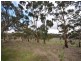 Lot 21 Spring Gully Road, Clare SA 5453