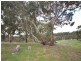 Lot 21 Spring Gully Road, Clare SA 5453