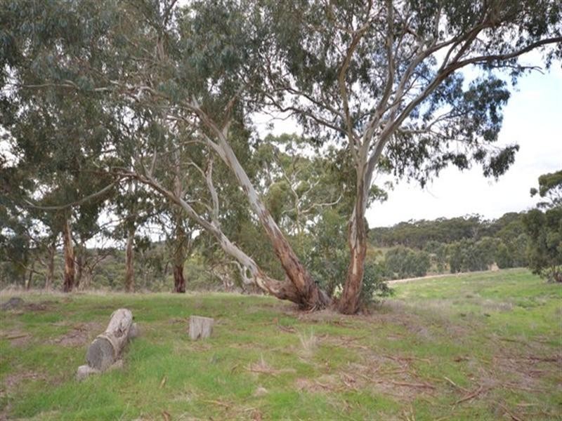 Lot 21 Spring Gully Road, Clare SA 5453