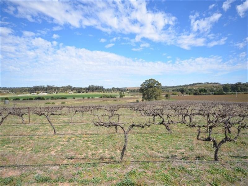 Lot 663 Main North Road, Stanley Flat SA 5453