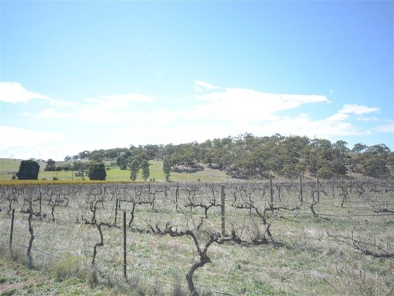 Lot 663 Main North Road, Stanley Flat SA 5453