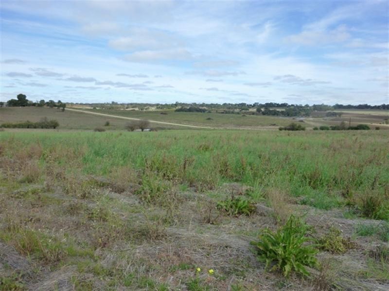 Lot 91 Blockers Road, Clare SA 5453