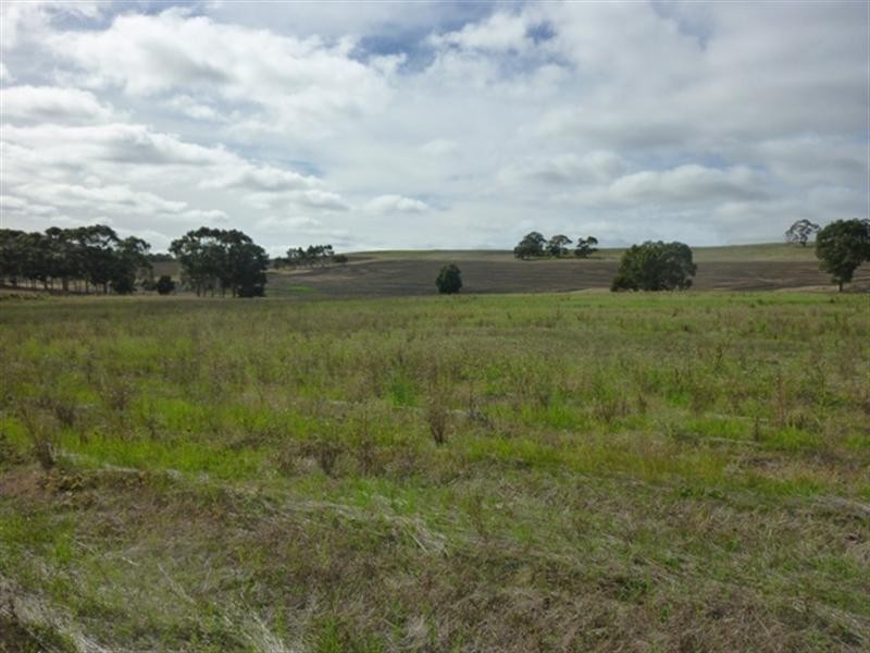 Lot 91 Blockers Road, Clare SA 5453