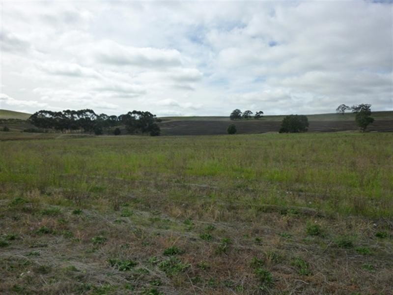 Lot 91 Blockers Road, Clare SA 5453