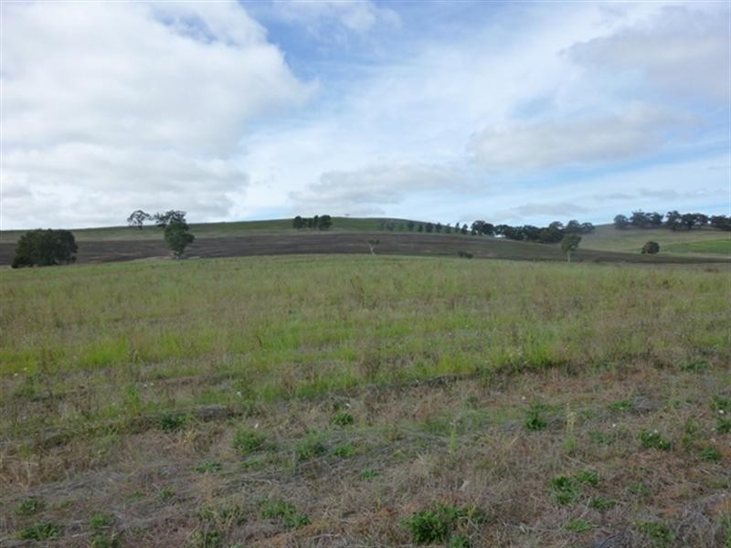 Lot 91 Blockers Road, Clare SA 5453