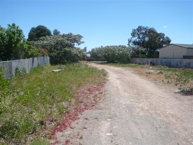 25 Harley Street, Blyth SA 5462