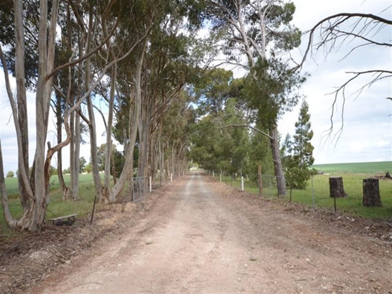 Lot 2 Bunama Lane, Rochester SA 5464