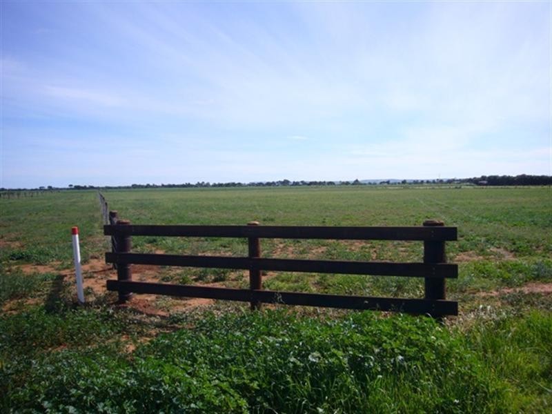 Lot 64 Racecourse Road, Balaklava SA 5461