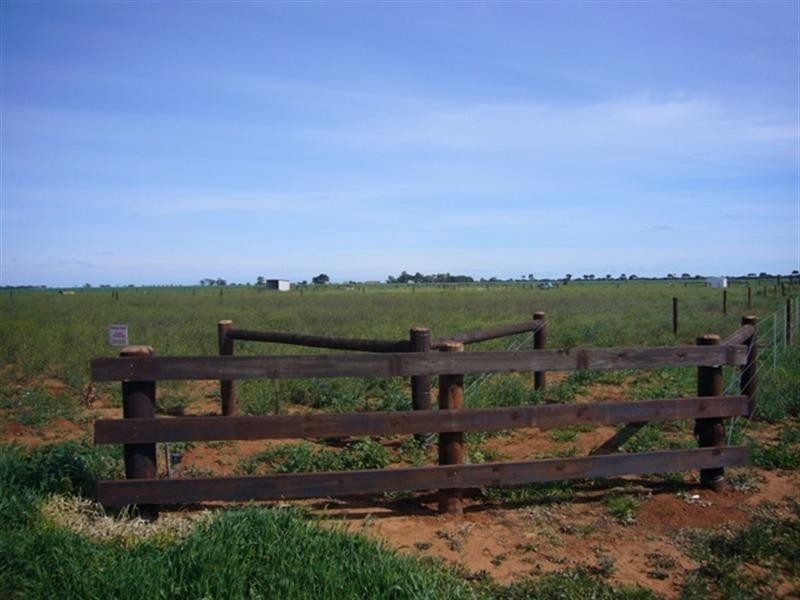 Lot 64 Racecourse Road, Balaklava SA 5461