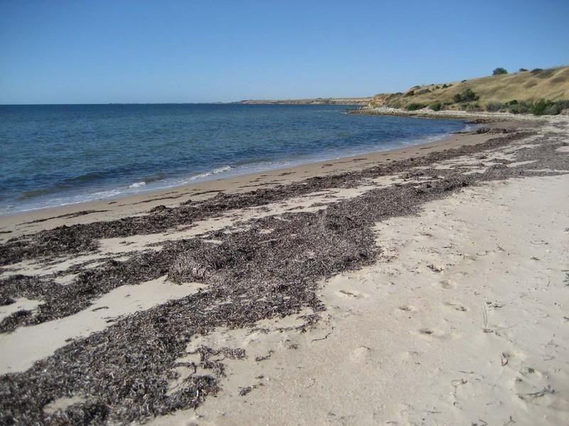 37 Chapman Road, Rogues Point SA 5571