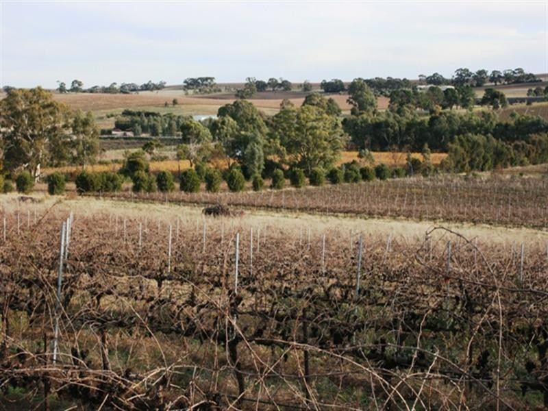 Section 797 Government Road, Leasingham SA 5452