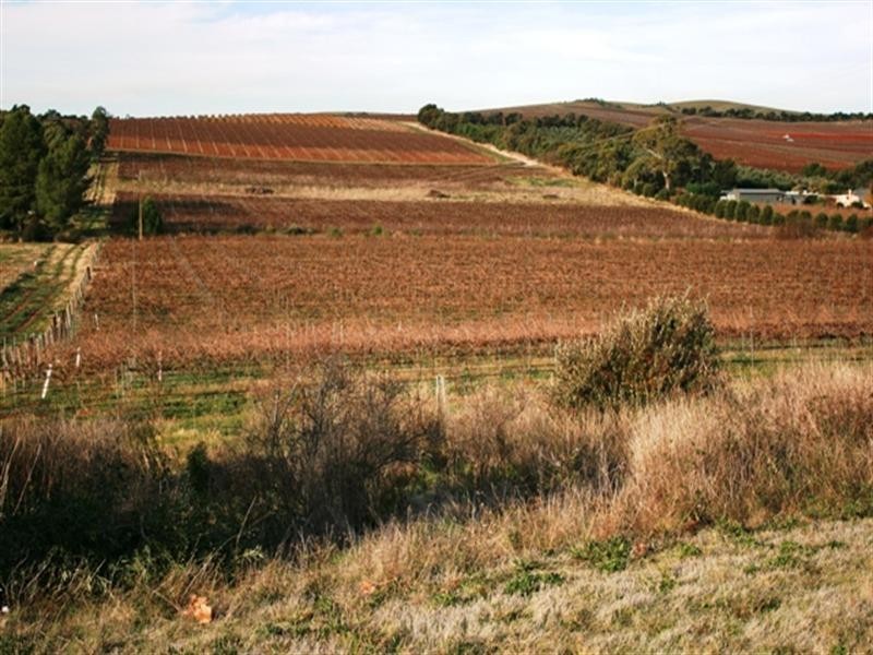 Section 797 Government Road, Leasingham SA 5452