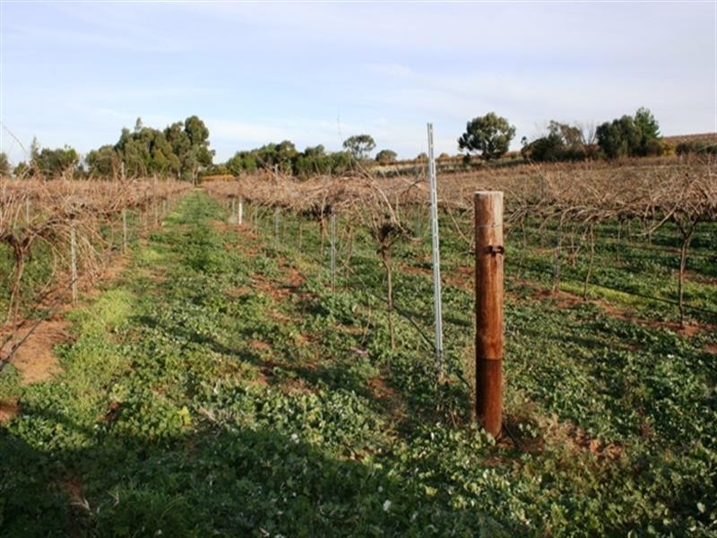 Section 797 Government Road, Leasingham SA 5452