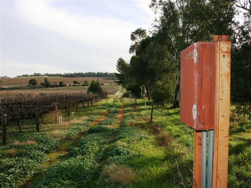 Section 797 Government Road, Leasingham SA 5452