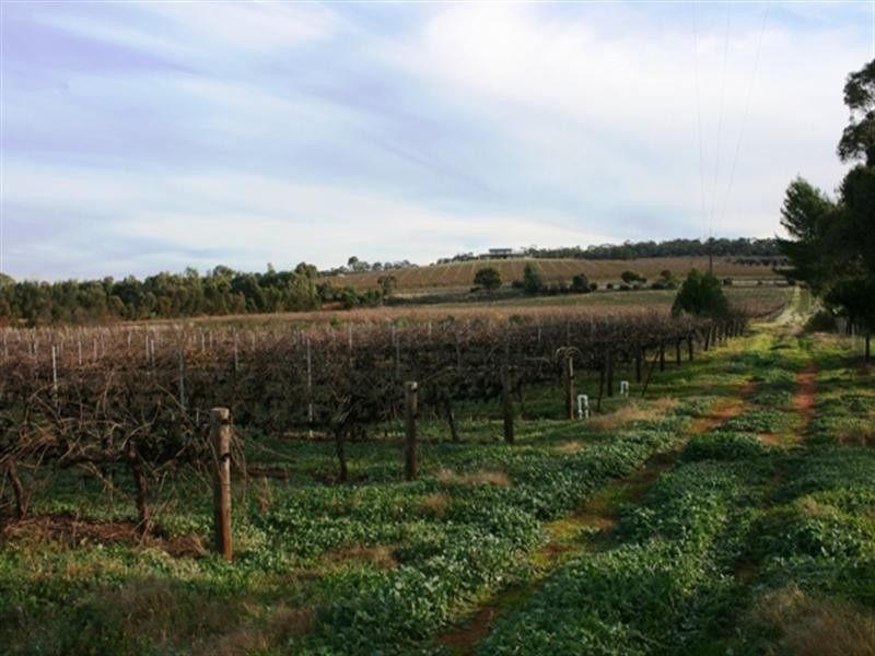 Section 797 Government Road, Leasingham SA 5452