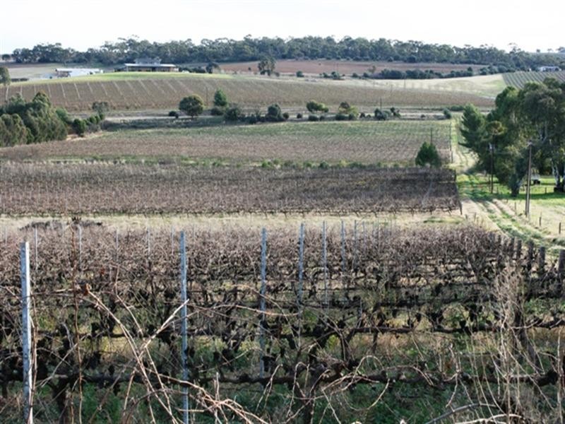 Section 797 Government Road, Leasingham SA 5452