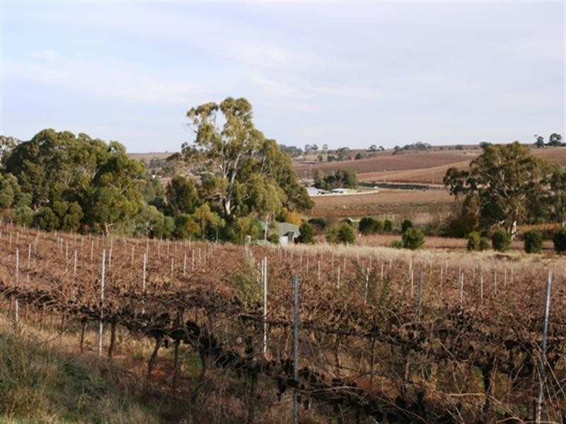 Section 797 Government Road, Leasingham SA 5452