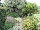 39 Clinton Road, Maitland SA 5573