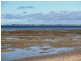 42 Esplanade, Pine Point SA 5571