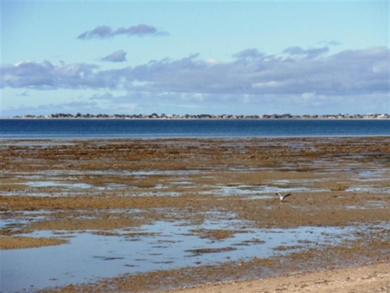 42 Esplanade, Pine Point SA 5571