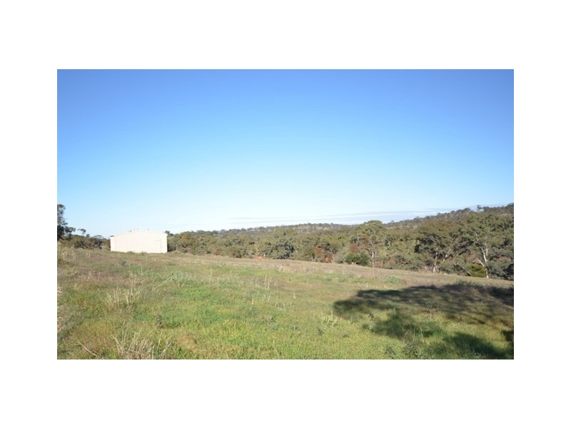 Lot 7 Skillogalee Creek Road, Watervale SA 5452