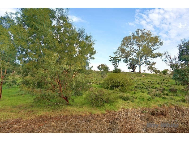Lot 7 Skillogalee Creek Road, Watervale SA 5452