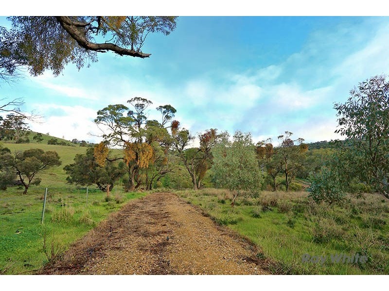 Lot 7 Skillogalee Creek Road, Watervale SA 5452