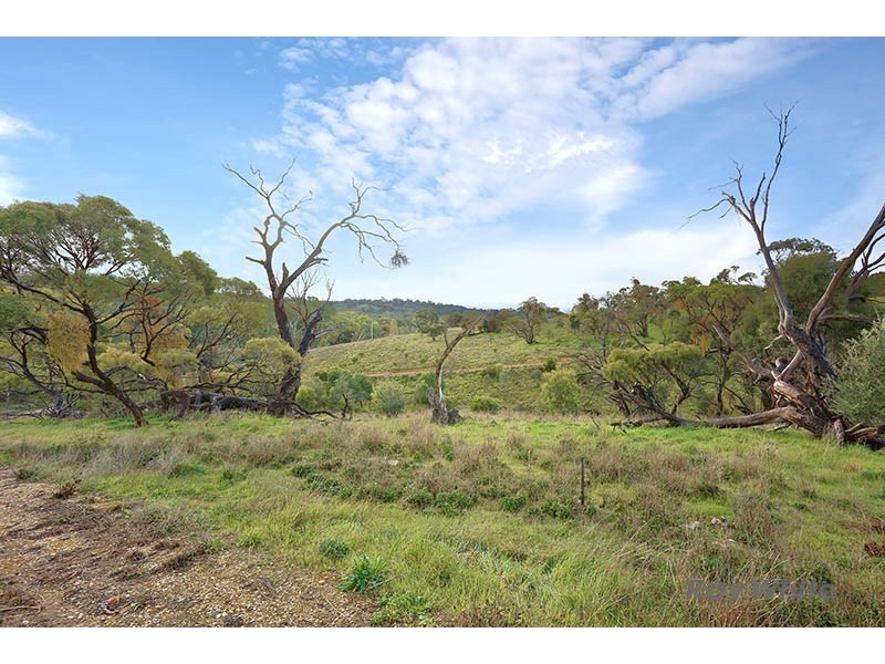 Lot 7 Skillogalee Creek Road, Watervale SA 5452
