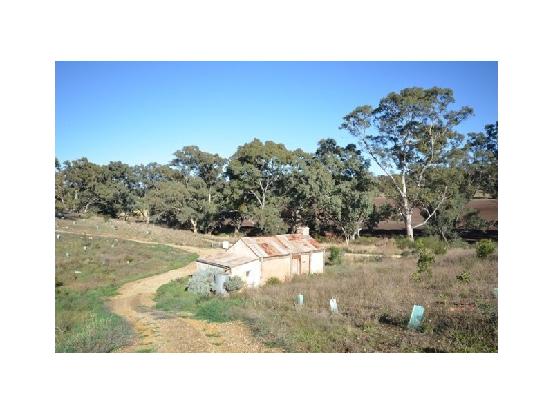 Lot 7 Skillogalee Creek Road, Watervale SA 5452