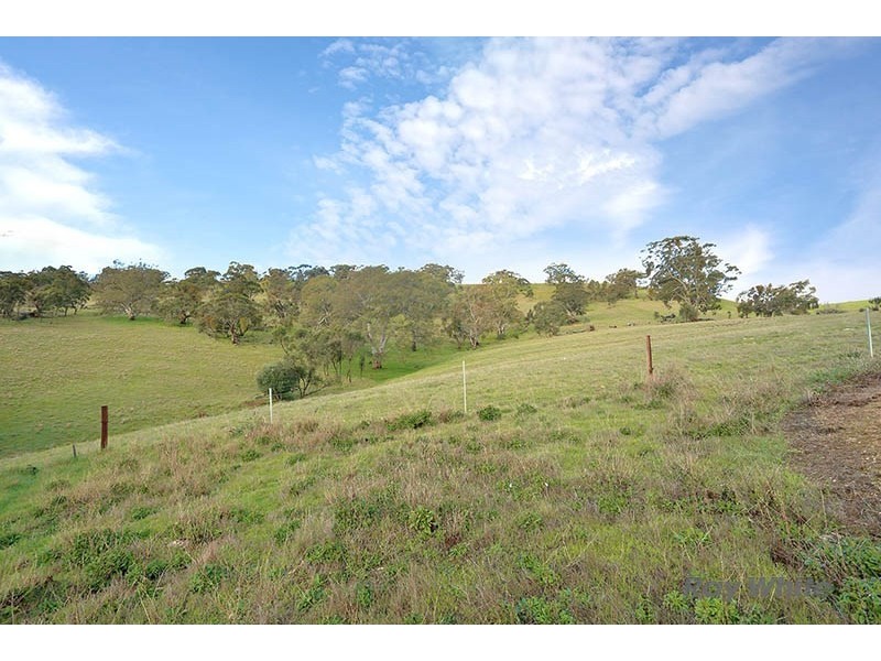 Lot 7 Skillogalee Creek Road, Watervale SA 5452